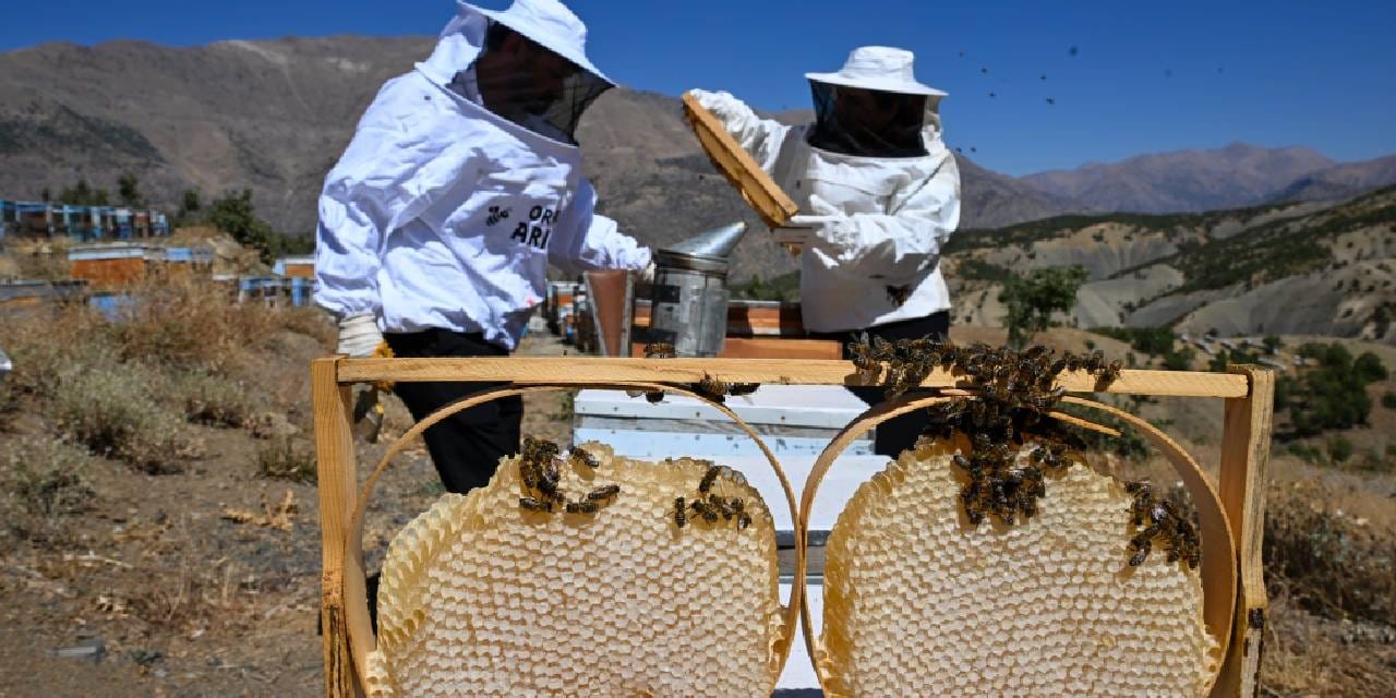 30 kovanla başladılar siparişlere yetişemiyorlar