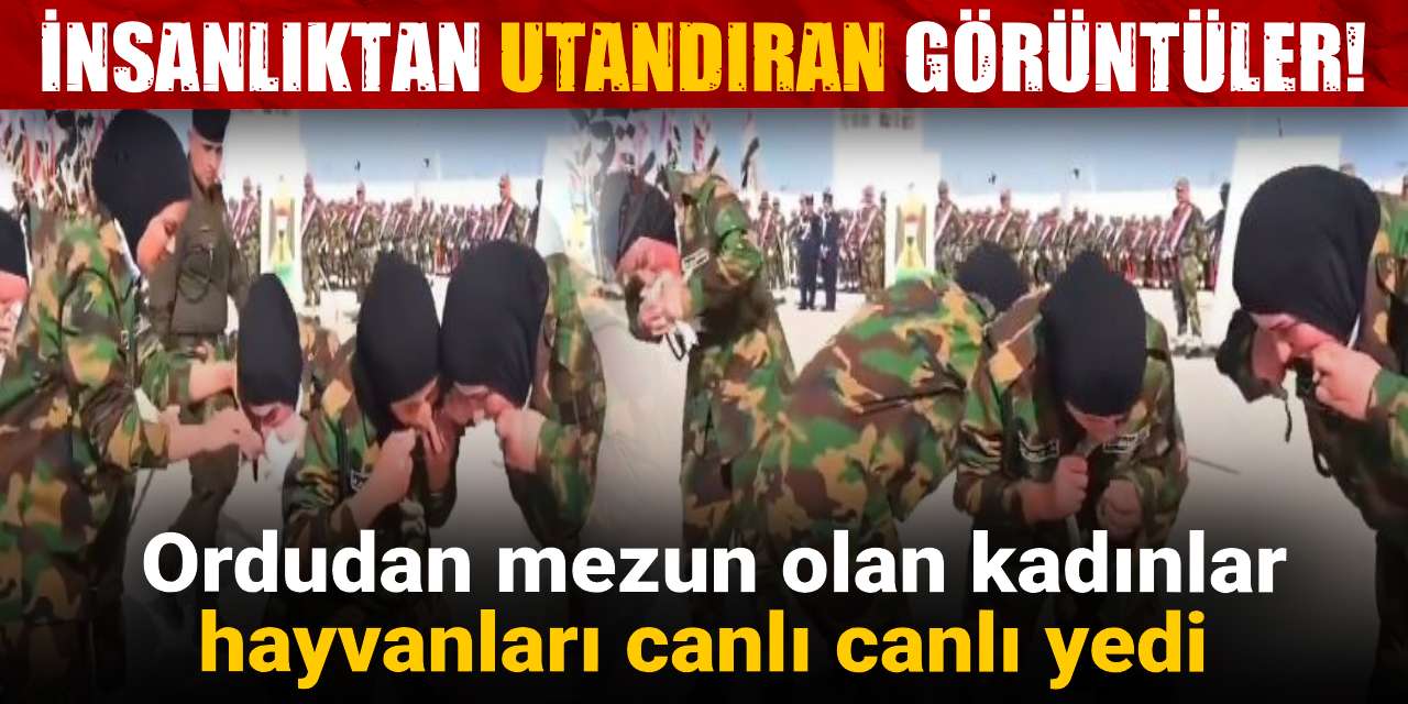 İnsanlıktan utandıran görüntüler: Ordudan mezun olan kadınlar hayvanları canlı canlı yedi