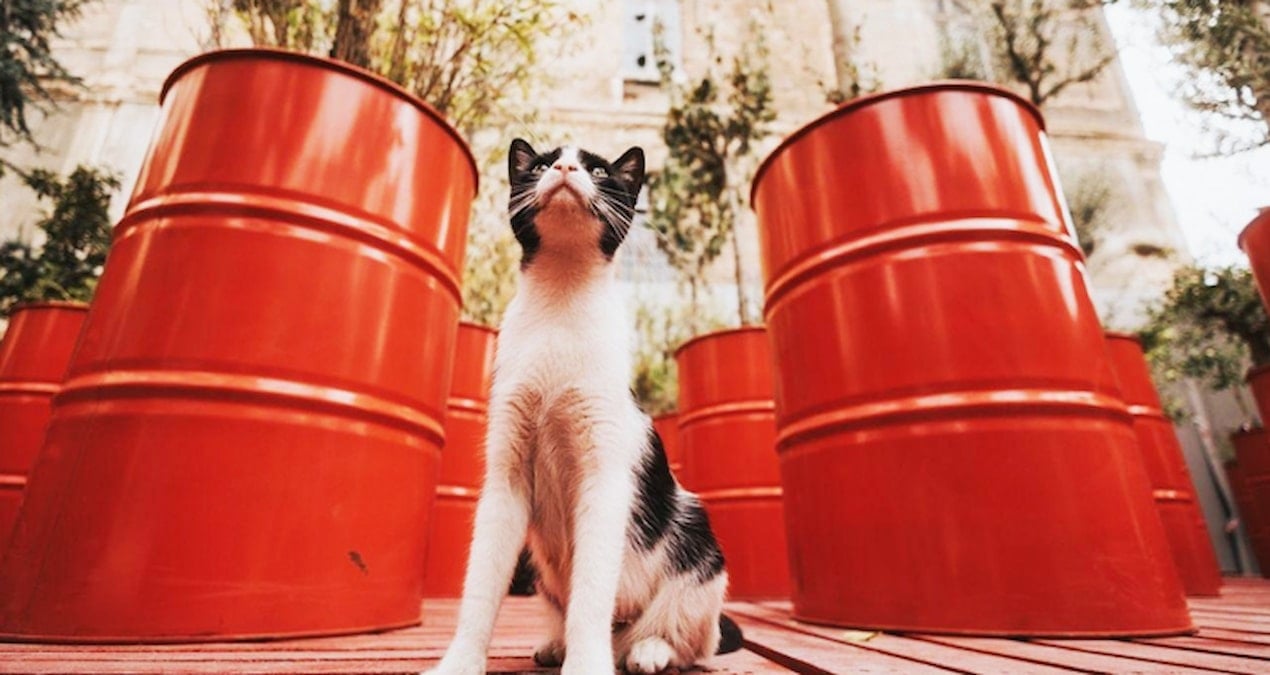 18. İstanbul Bienali sergilerini görmek için son günler