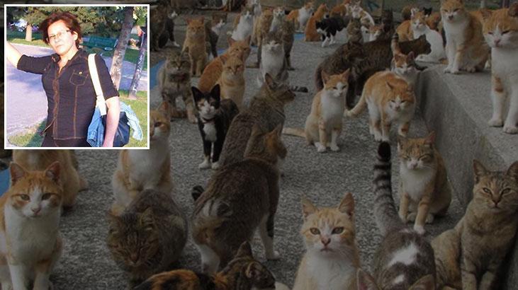 İzmir’den kahreden haber! 30 kedisiyle birlikte hayatını kaybetti
