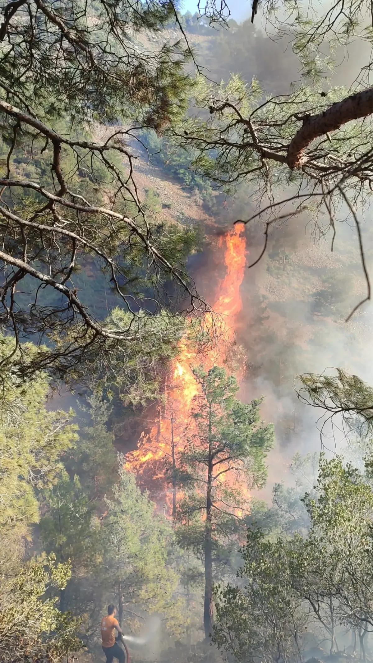 Belen’de Orman Yangını