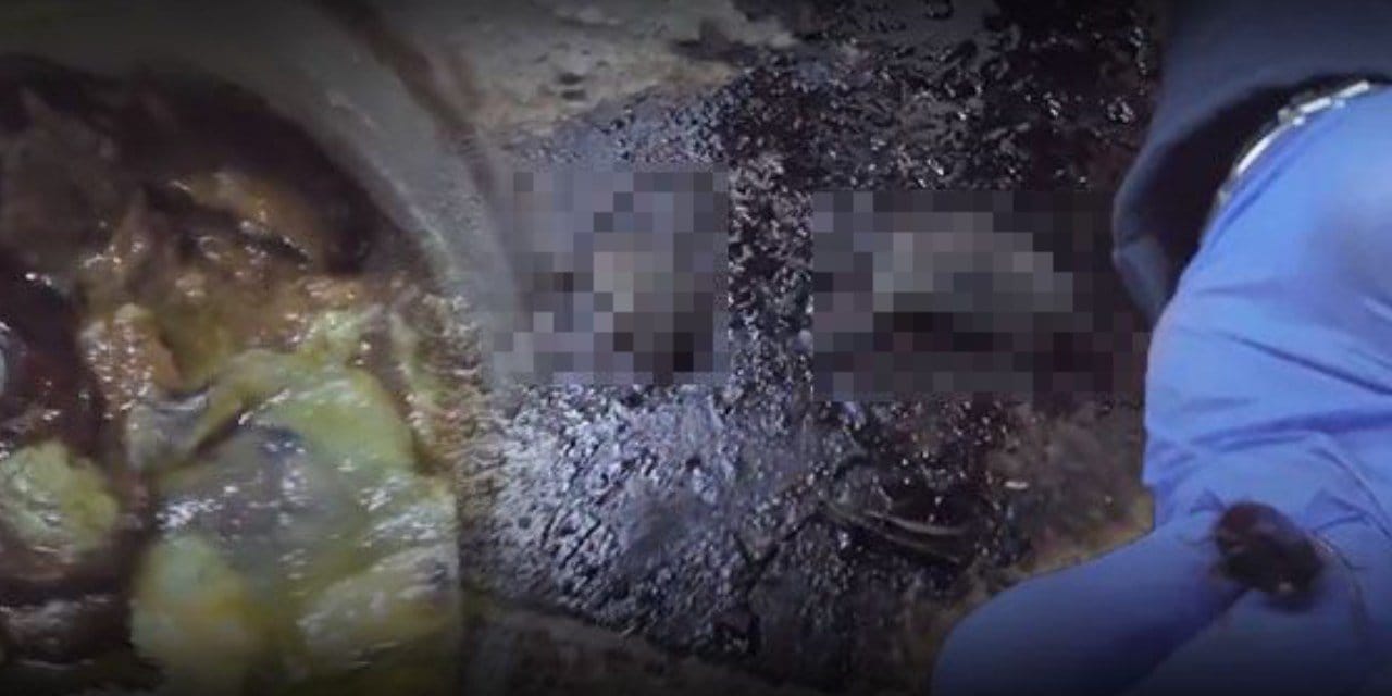 Market baskınında ortaya çıkanlar kan dondurdu: Fareler, böcekler ve tarihi geçmiş ürünler…