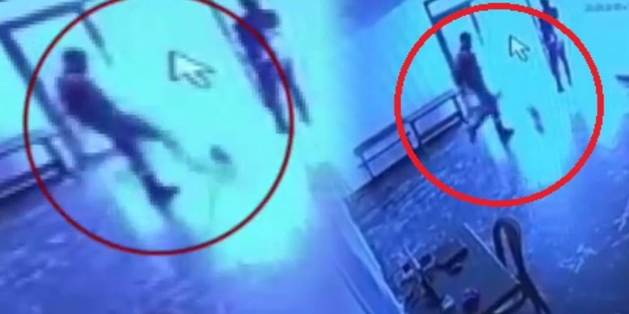 Skandal görüntüler insanlıktan utandırdı! Güvenlik görevlisinden kediye şiddet