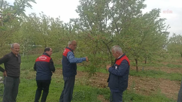 malatyada-dolu-felaketi-kayisi-ve-meyve-agaclarinda-zarar-hasar-tespit-calismalari-baslatildi-wyLD6O7N